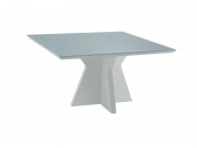 Conjunto Mesa de Jantar Simone Cecilia com 12 Poltronas 3.00 x 1.48 Retangular